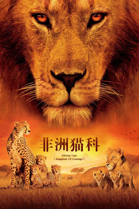 【剧情片】非洲猫科