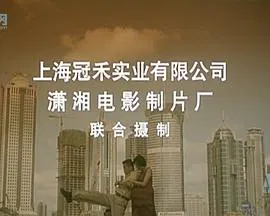 【剧情片】给太太打工
